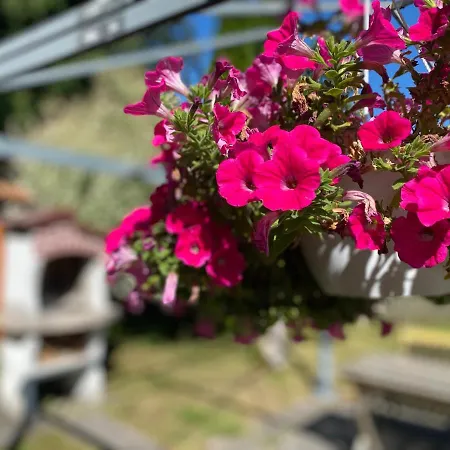 Ferienwohnung Am Franziskanergarten Bad Tölz Extérieur photo
