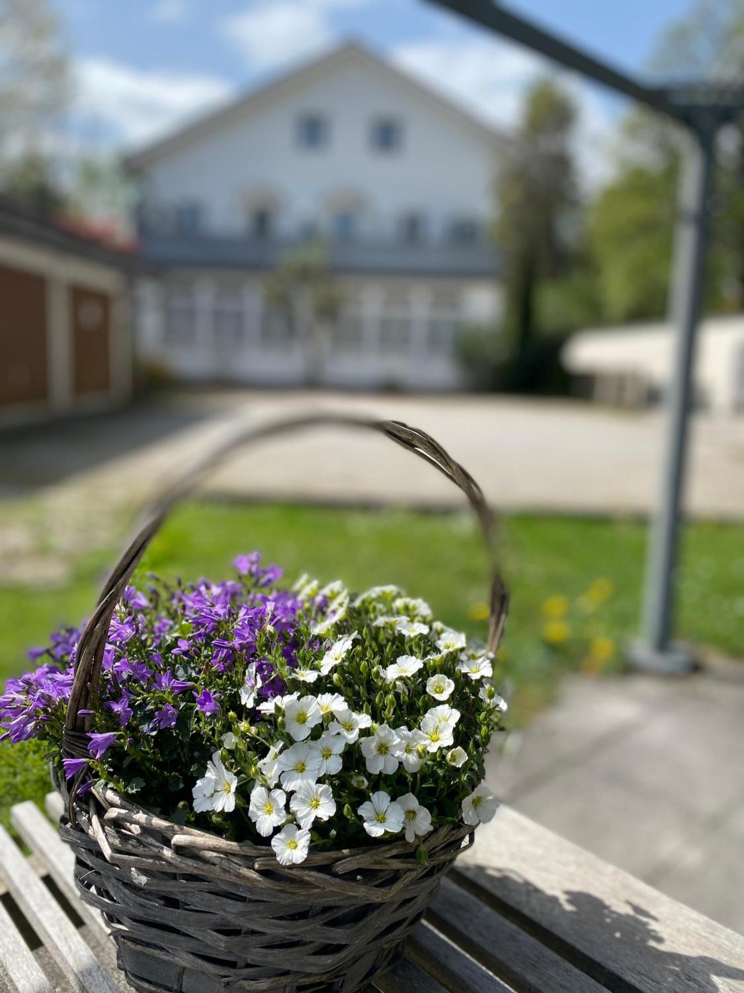 Am Franziskanergarten Appartement Bad Tölz